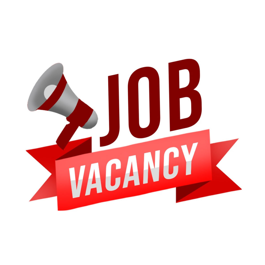 DEPUTY PROGRAMME MANAGER DEVELOPMENT OF THE SERVICES SECTOR