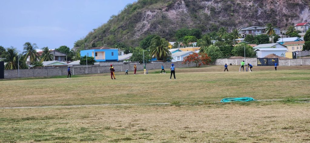 Cricket Returns to Primary Schools