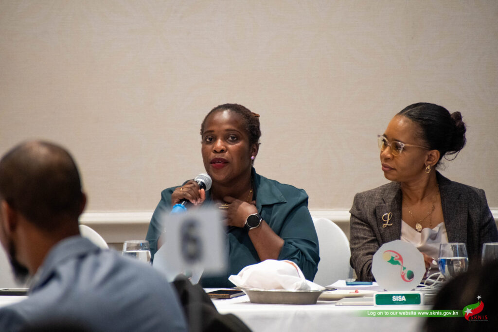 SISA Lunch & Learn – Collective Action for Sustainable Development
